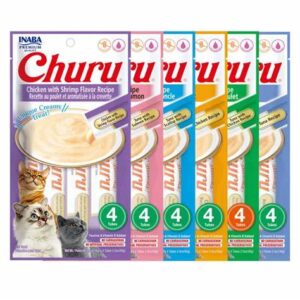 Churu