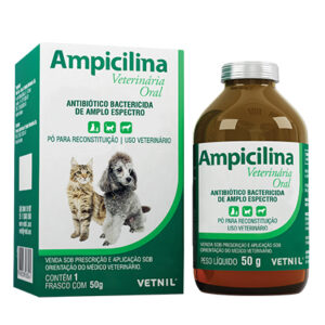 Ampicilina Suspensão oral
